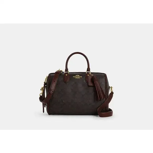 Rowan Large Satchel Bag In Signature Canvas With Fringe - Picture 6 of 10